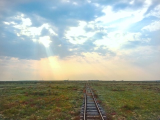 鄂尔多斯大草原