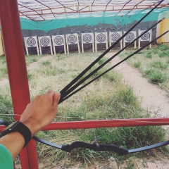 活动模块 