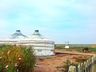 鄂尔多斯大草原