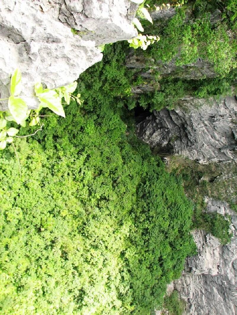 新发现#南宁竟然也有天坑,就在美丽的隆安布泉河边