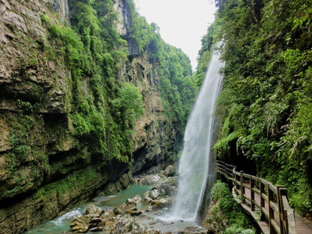 张家界大峡谷玻璃桥(含游船),魅力湘西晚会第3天天门山国家森林公园