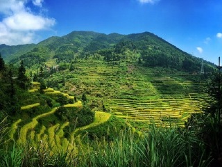 永春梯田