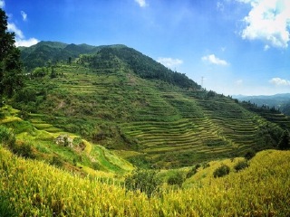 永春梯田