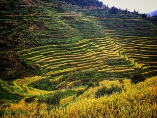永春梯田
