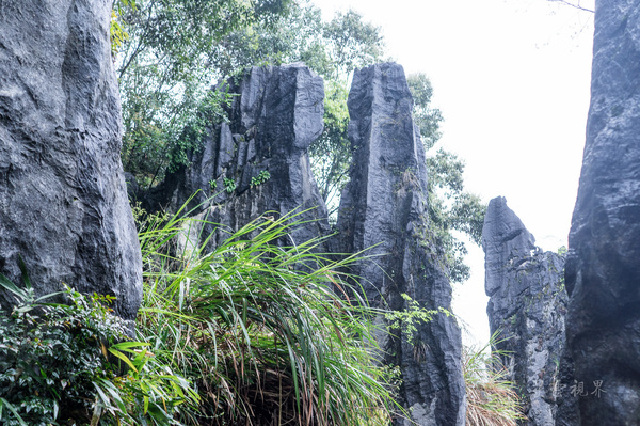 鬼斧神工 自然天成永安鳞隐石林