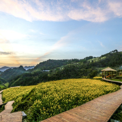 黄狮寨的#搜罗风景# #旅图换旅费# #自然风光#
