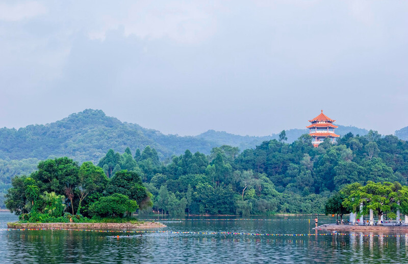 樟树市图片,樟树市,樟树市_大山谷图库