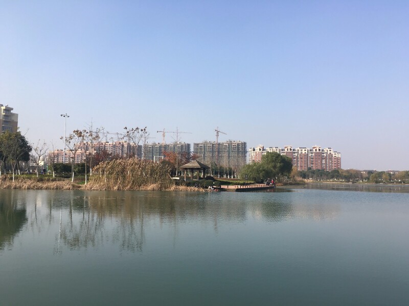 鑫城湖,徐霞客镇的新兴公园