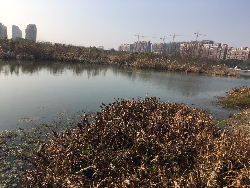 鑫城湖徐霞客镇的新兴公园