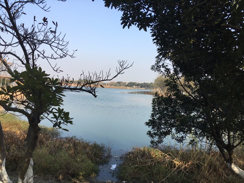 鑫城湖徐霞客镇的新兴公园
