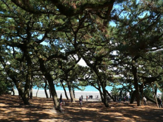 静冈县