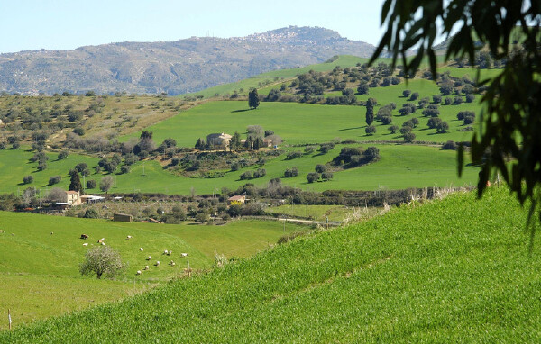 博洛尼亚*旅游时间_博洛尼亚有什么好玩的地方_博洛尼亚旅游安全吗