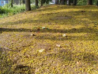 徐庄软件园商业圈