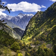 尼龙峡谷