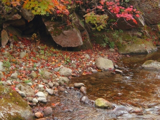 天桥沟国家森林公园