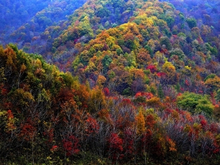 天桥沟国家森林公园