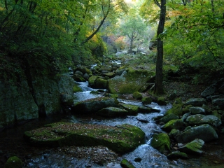 天桥沟国家森林公园