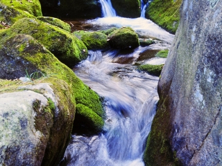天桥沟国家森林公园