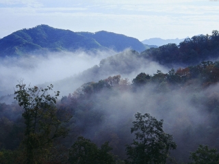 天桥沟国家森林公园