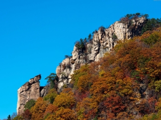 天桥沟国家森林公园