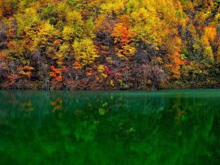 天桥沟国家森林公园