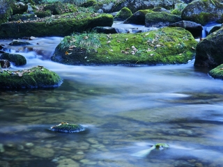 天桥沟国家森林公园