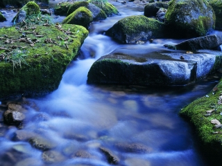 天桥沟国家森林公园