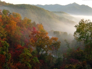 天桥沟国家森林公园