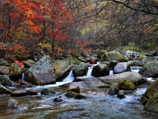 天桥沟国家森林公园
