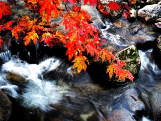 天桥沟国家森林公园