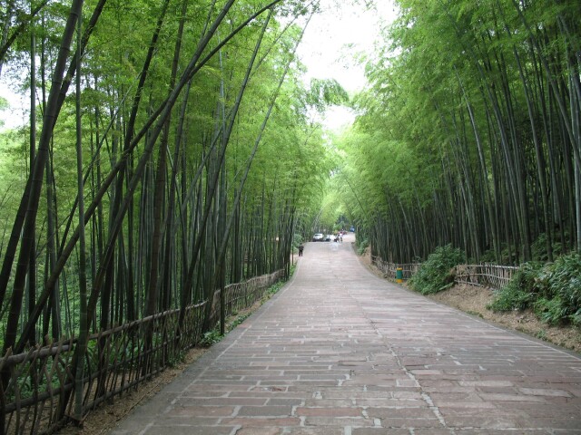  蜀南竹海双汽2日游>入住五星级度假酒店,二环内包