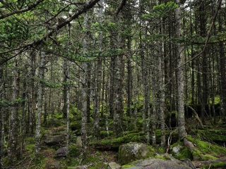 螺髻山旅游景区