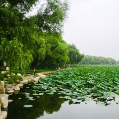 长春动植物公园3