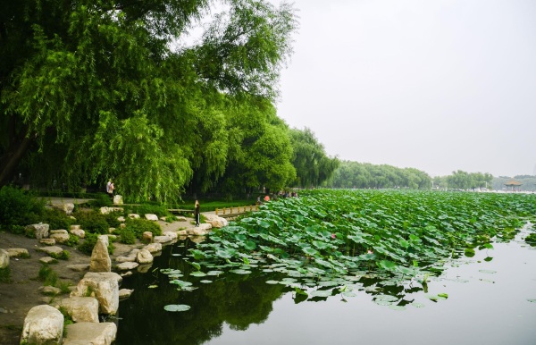 南湖公園圖片