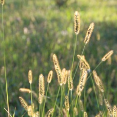 长春动植物公园1