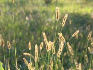 长春动植物公园