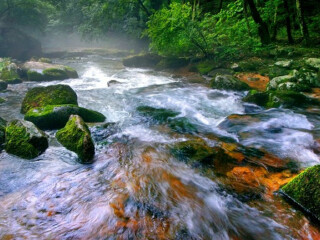 天桥沟国家森林公园