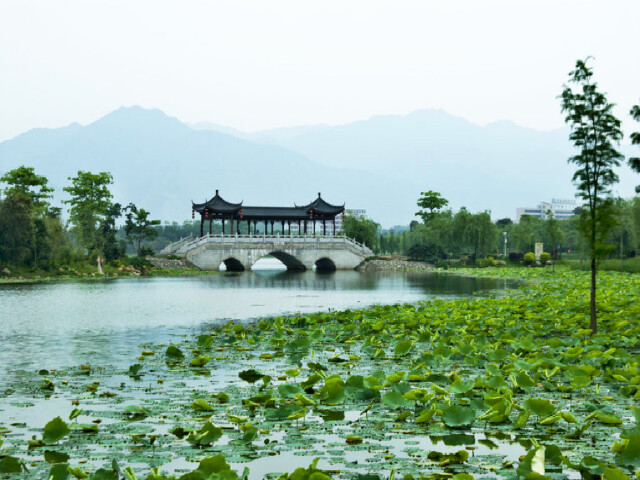 飞来湖湿地公园