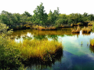 五大连池温泊景区