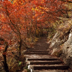 兴隆山景区