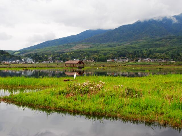 腾冲北海湿地3