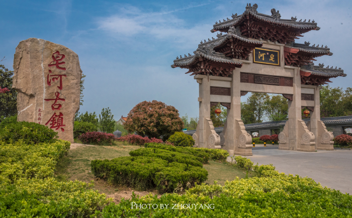 花漾宿迁,邀你来看花花世界【首发】