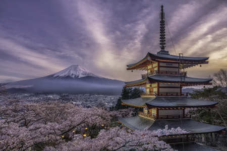 <日本东京-富士山-大阪-京都6日游>南京直飞，A线阪进东出，25人小团，2晚温泉酒店，打卡镰仓，秋叶原动漫街，B线东进阪出，奈良驯鹿，东京自由