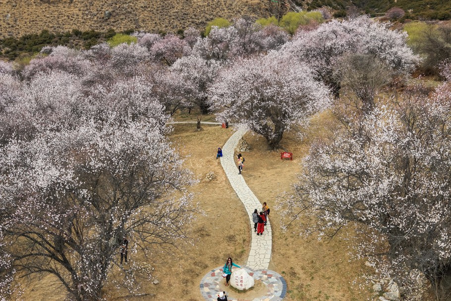  嘎拉桃花村