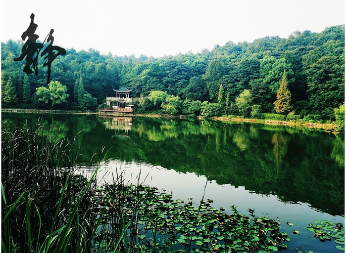 世界上,七千个地方,不如我们定居长沙【多图】_岳麓山游记_途牛