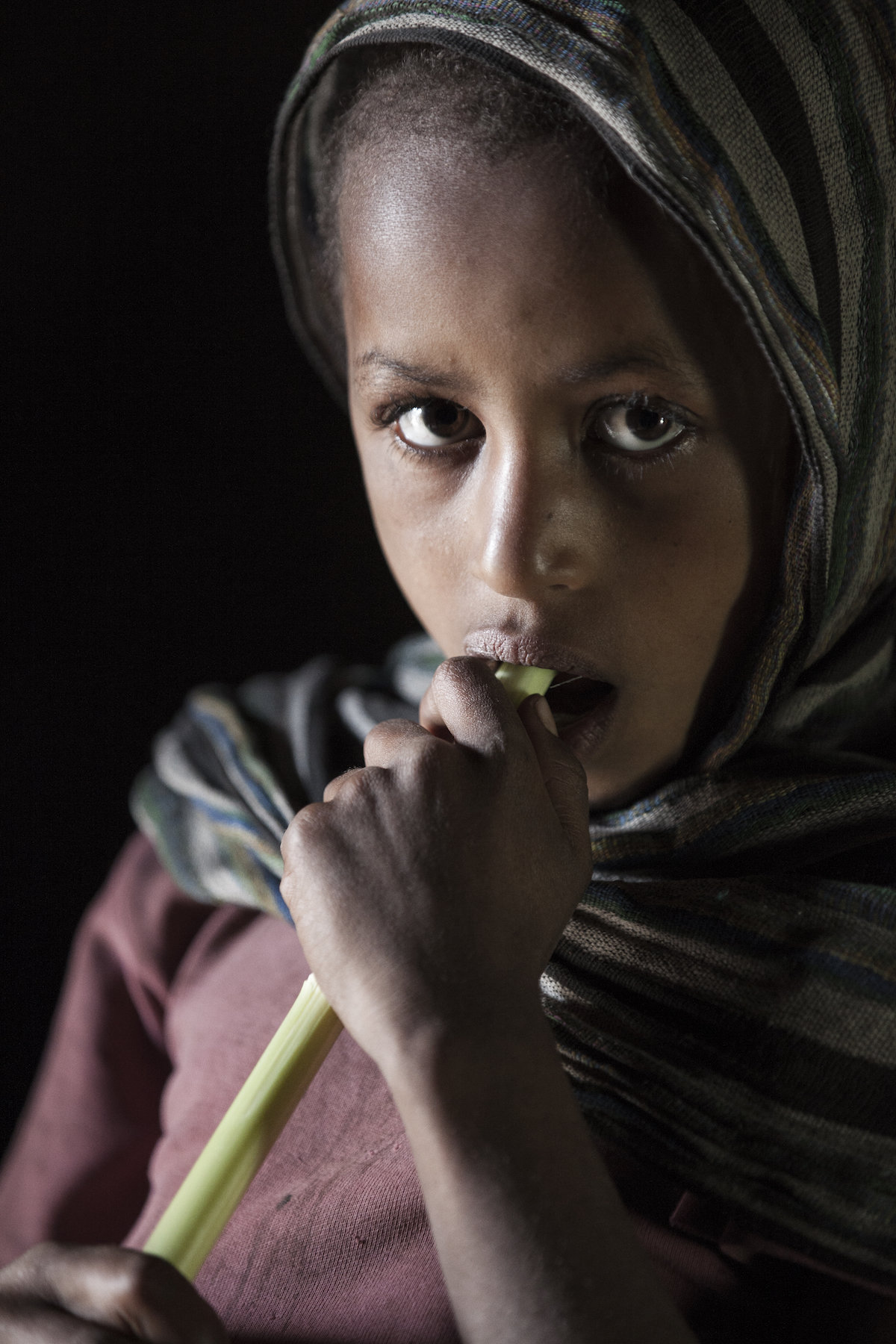 跨越三百万年的光影,埃塞俄比亚