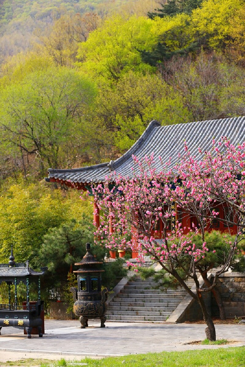 桃花峪景区游览线路:桃花峪专线站→钓鱼台→碧峰寺→彩石溪→赤鳞溪