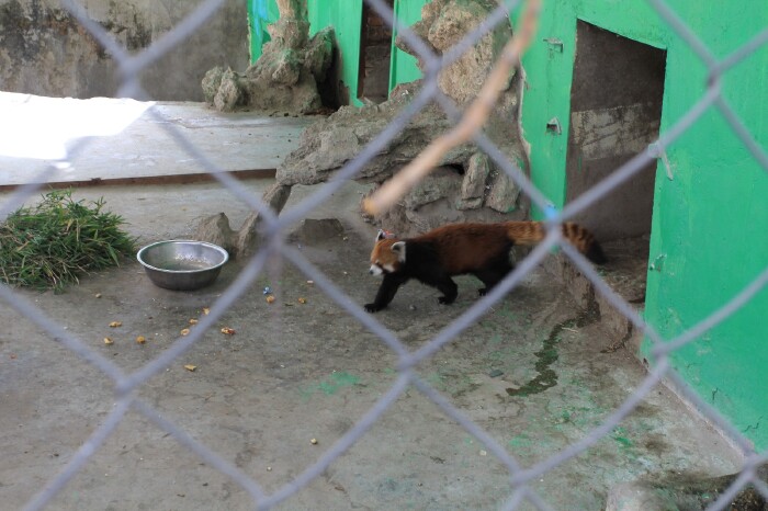 罗布林卡里面有个动物园,是要单独收费的,10元/人.以前是以雪豹著名.