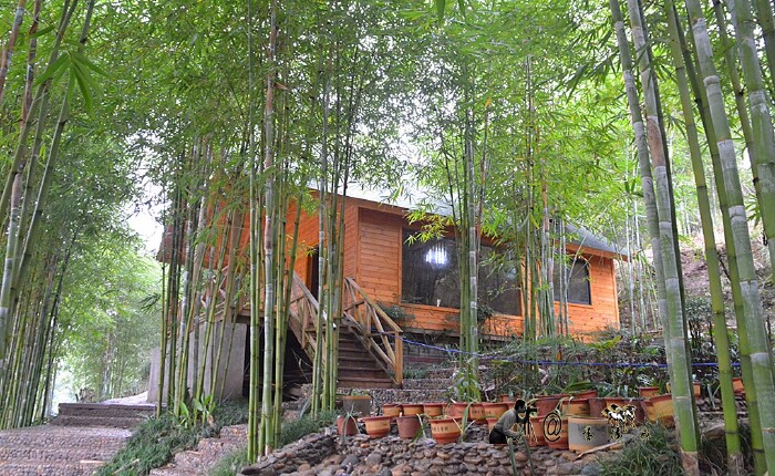 竹林木屋休闲避暑,非常适合生态度假.