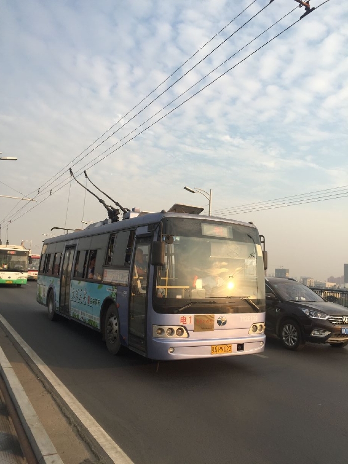 成都到武汉到重庆散漫流接地气游记